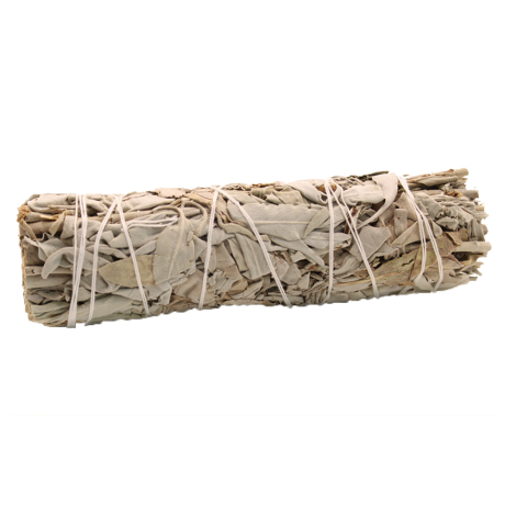 Weißer Salbei [product.brand] 1 - Rosmarinus (koreni-krumlov.cz / platce DPH) 